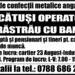 Lacatusi operatori fierastrau cu banda.